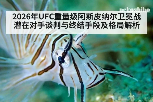 2026年UFC重量级阿斯皮纳尔卫冕战潜在对手谈判与终结手段及格局解析